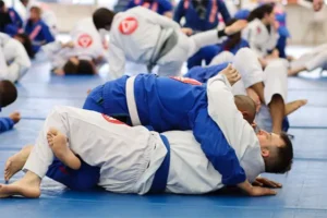 jiu jitsu8